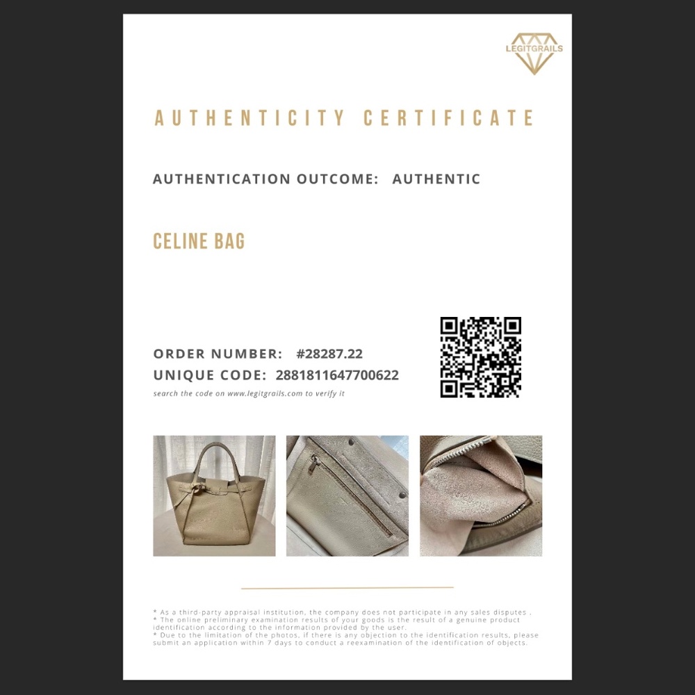 Celine Medium Big Bag in Soft Bare Calfskin - Light Taupe - Picture 5 of 16